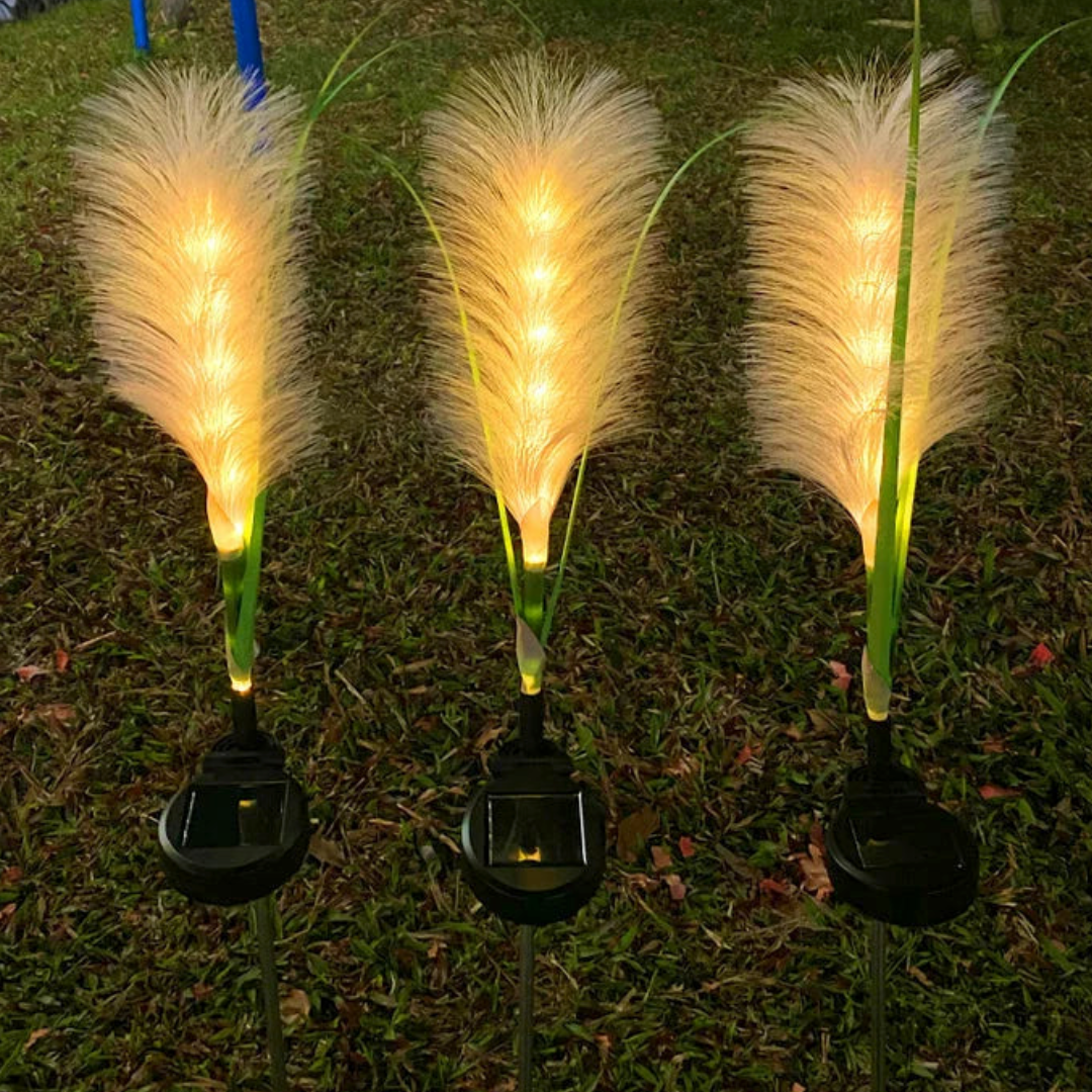 Solar Garden Lights - Decorative Fibre Optic Outdoor Lighting for Patios