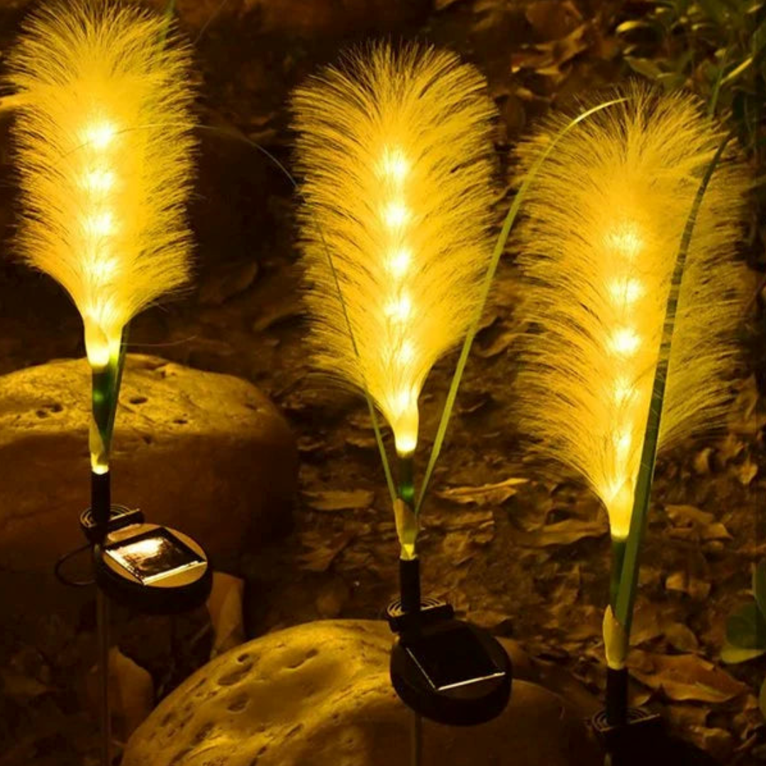 Solar Garden Lights - Decorative Fibre Optic Outdoor Lighting for Patios