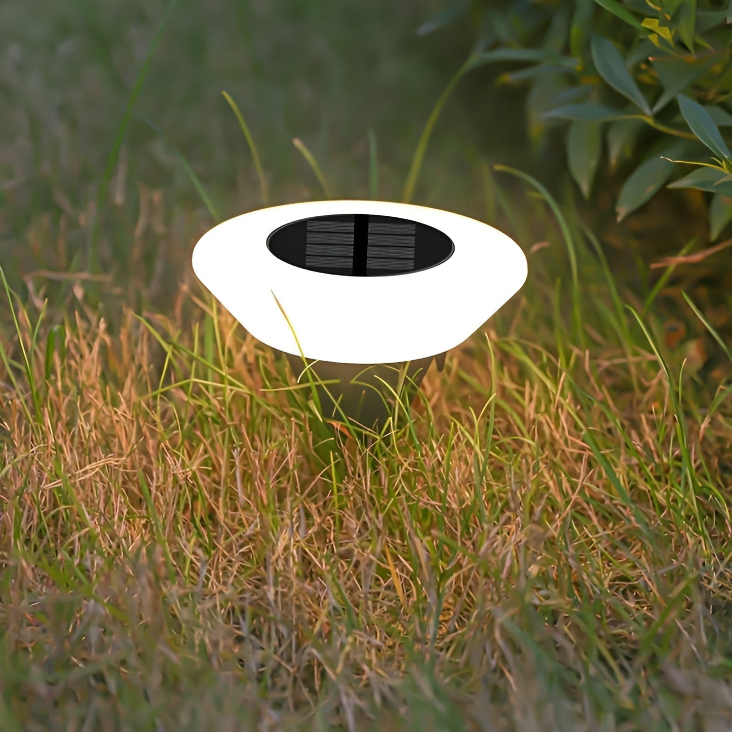 LED Solar Garden Light Outdoor Waterproof Decorative Landscape Lighting