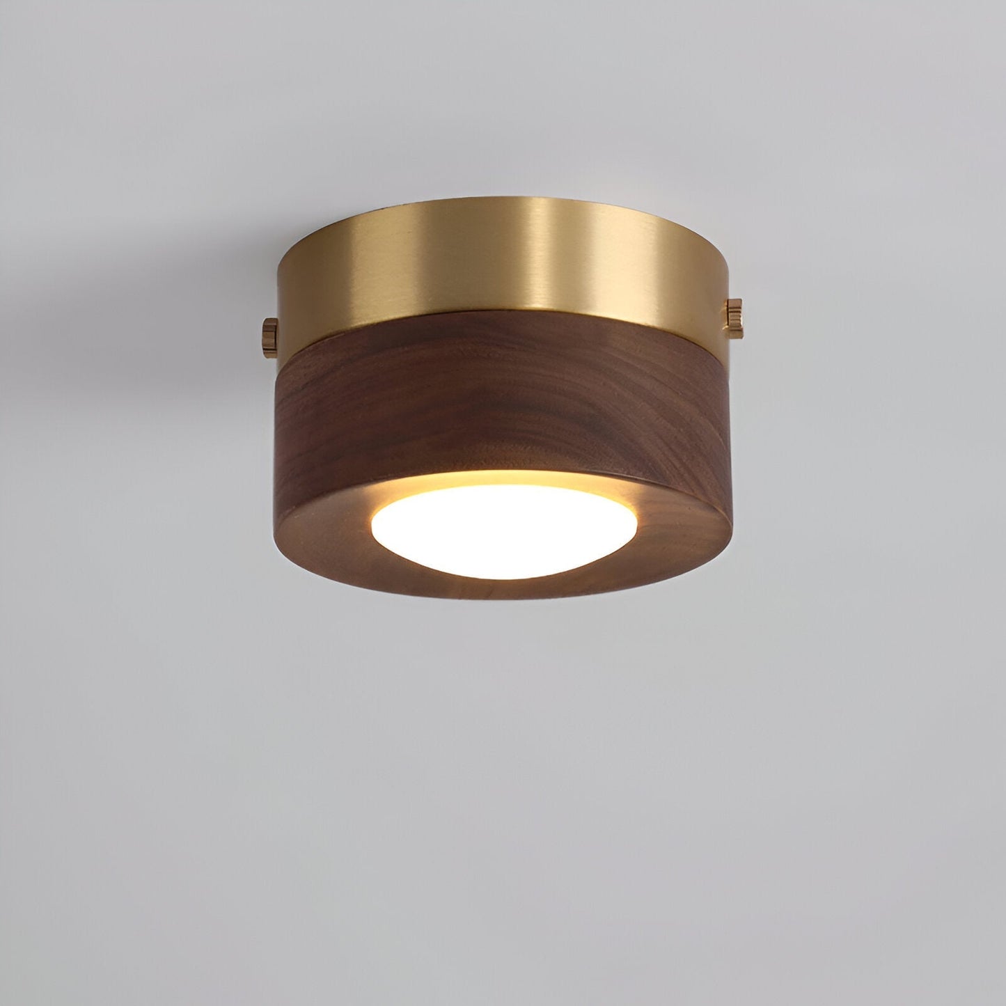 Walnut Wood Modern LED Ceiling Light for Home and Office Decor