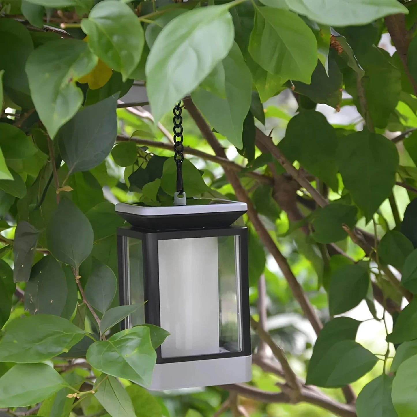 Solar Garden Torch for Outdoor Lighting and Ambiance in Patios and Yards