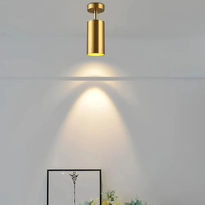 Dimmable Modern Ceiling Light for Home and Office - Stylish Illumination