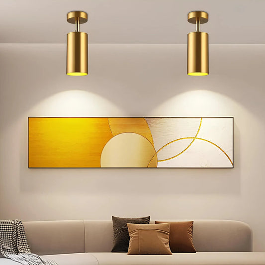 Dimmable Modern Ceiling Light for Home and Office - Stylish Illumination