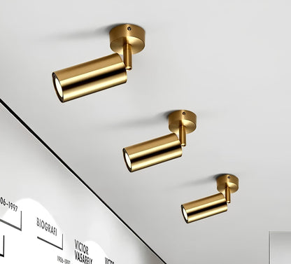 Adjustable LED Ceiling Light for Modern Home and Office Interiors